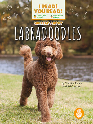 cover image of We Read About Labradoodles